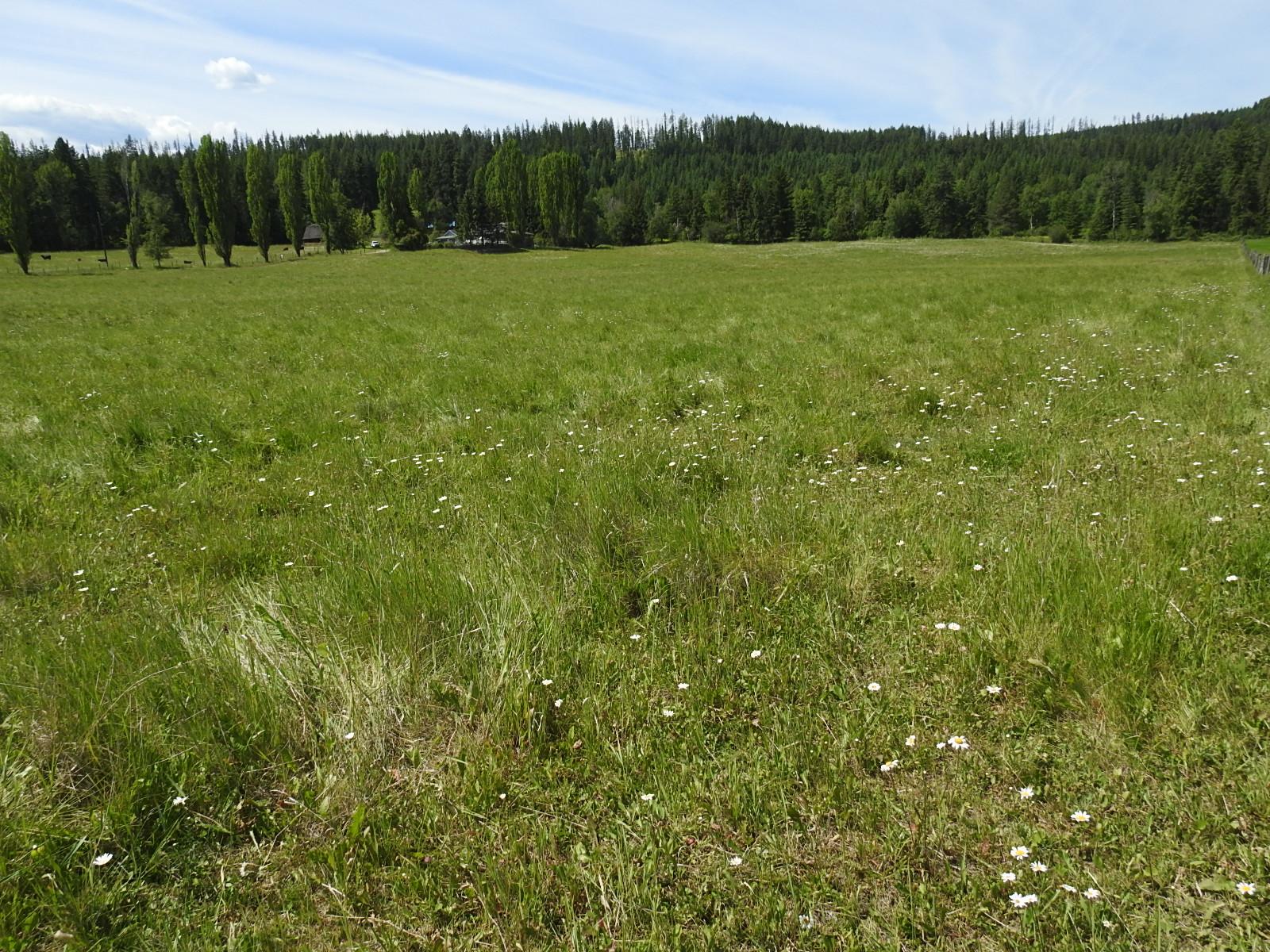 









Lot 149


6

Highway,
Cherryville,







BC
V0E 2G3

