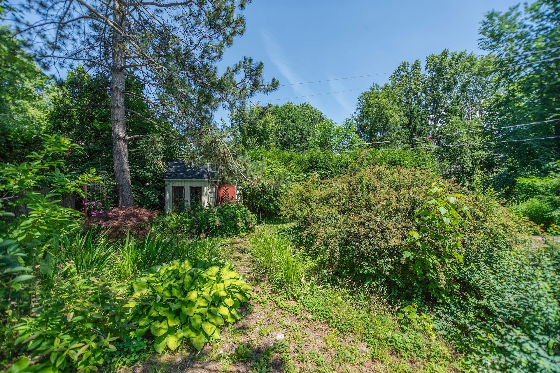 









101


Rue du Parc

,
Verchères,




QC
J0L2R0

