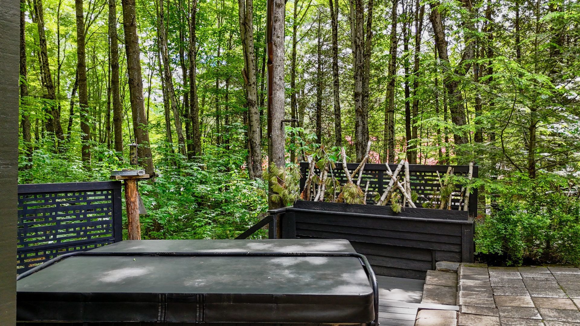 









34


Av. des Érables

,
Orford,




QC
J1X6W9

