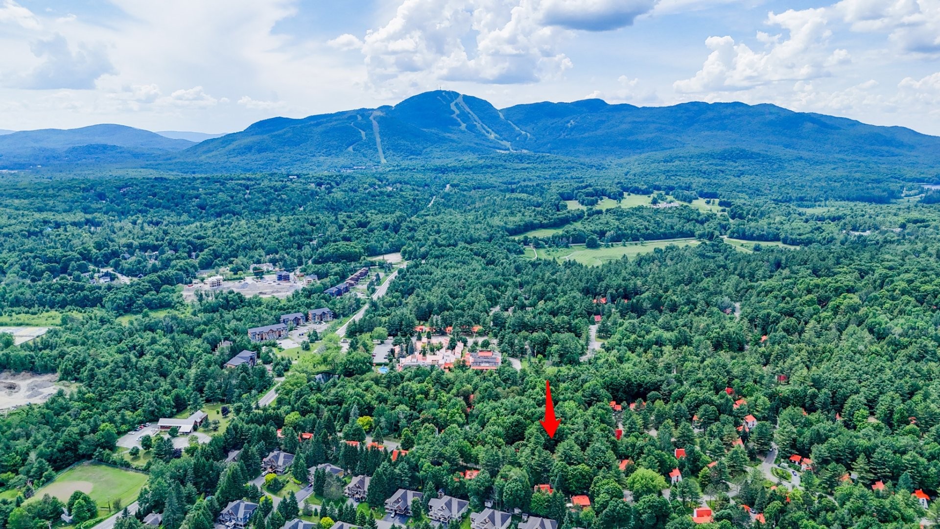 









34


Av. des Érables

,
Orford,




QC
J1X6W9

