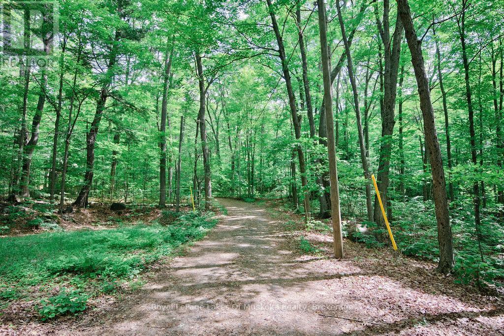 












B - 764 SKYLINE DRIVE

,
Armour,




Ontario
P0A1J0

