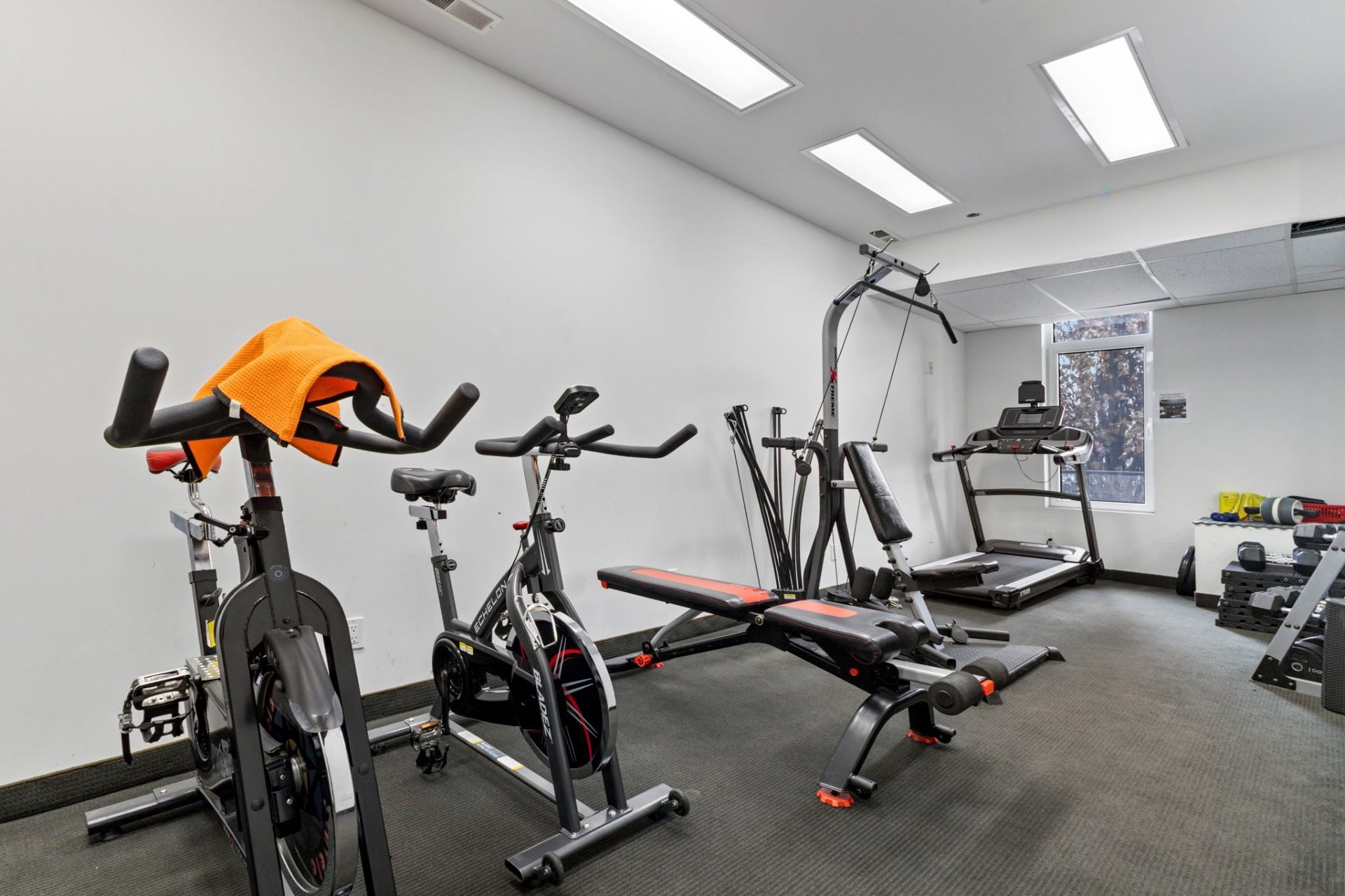 









224


Boul. Alexandre-Taché

, 207,
Gatineau (Hull),




QC
J9A0B8

