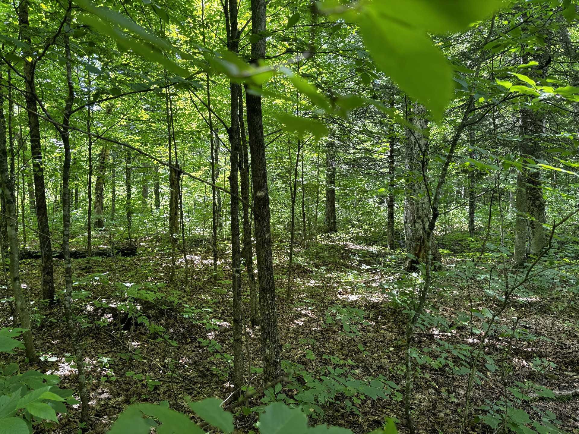 












Ch. Nason

,
Harrington,







QC
J8G2T3

