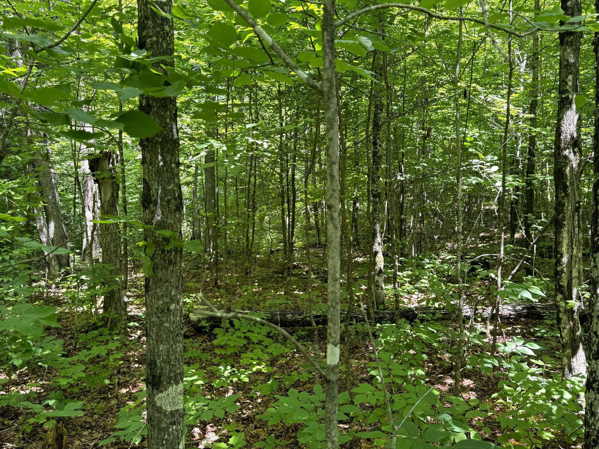 












Ch. Nason

,
Harrington,







QC
J8G2T3

