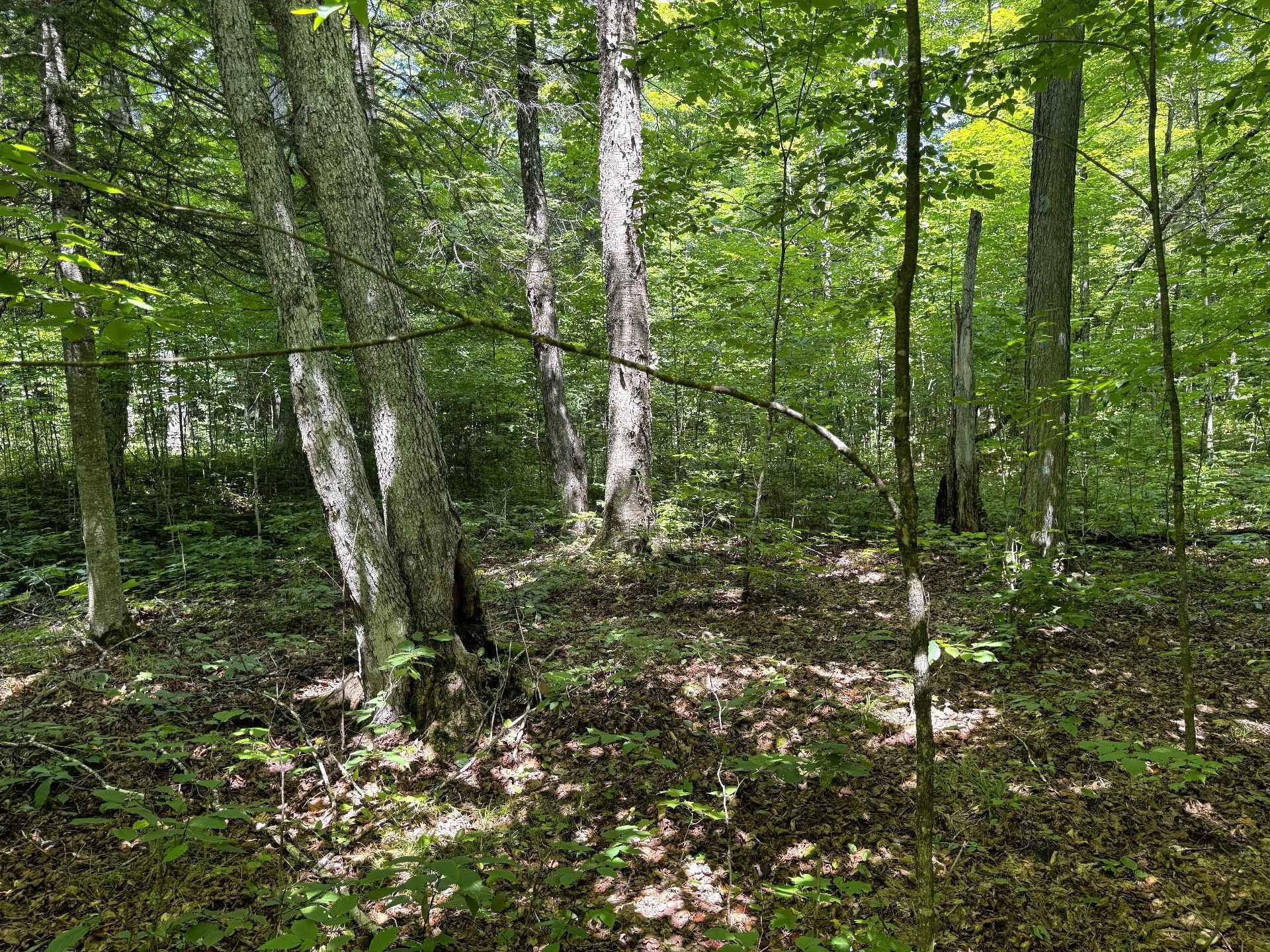 












Ch. Nason

,
Harrington,







QC
J8G2T3

