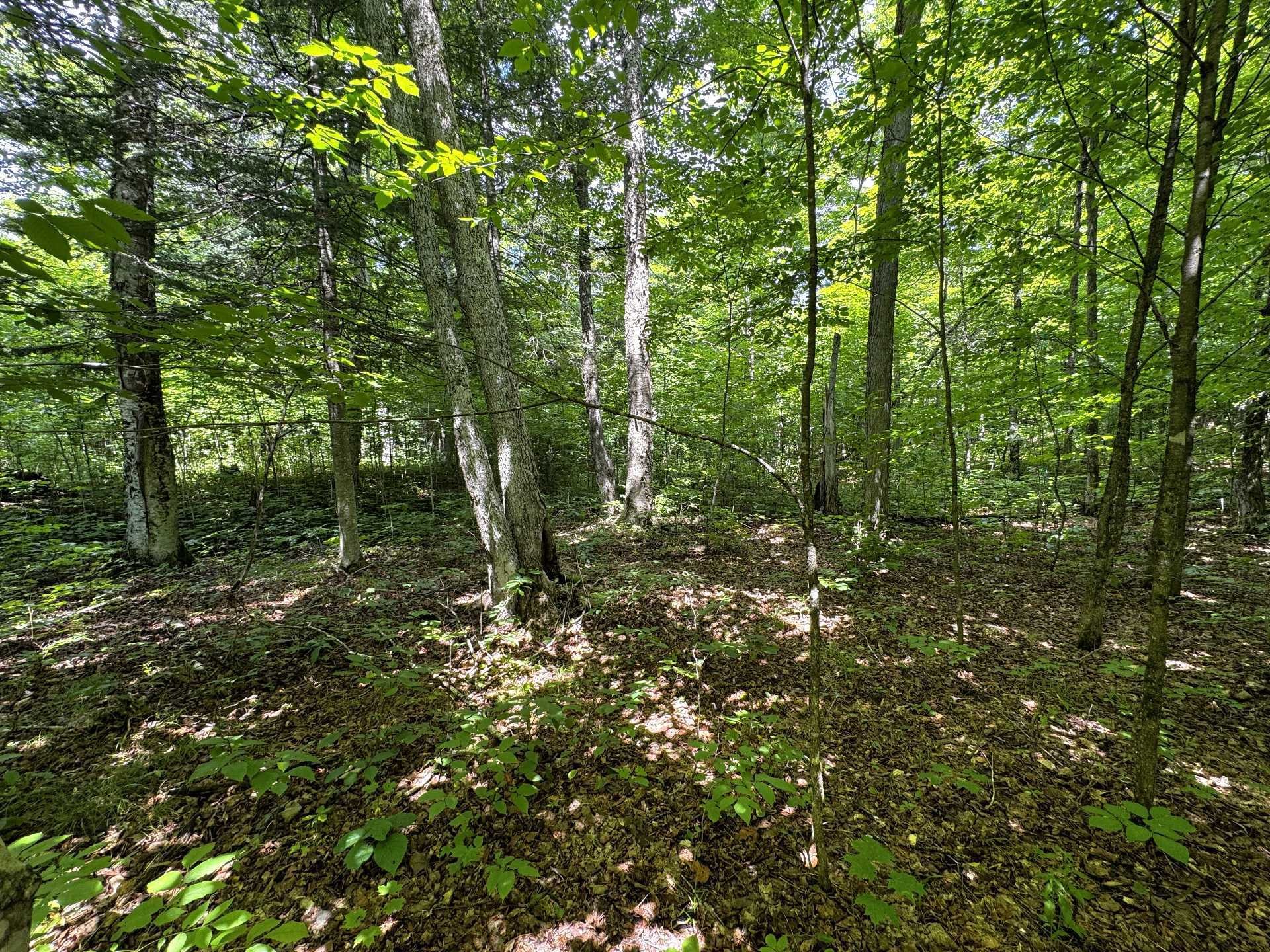 












Ch. Nason

,
Harrington,







QC
J8G2T3

