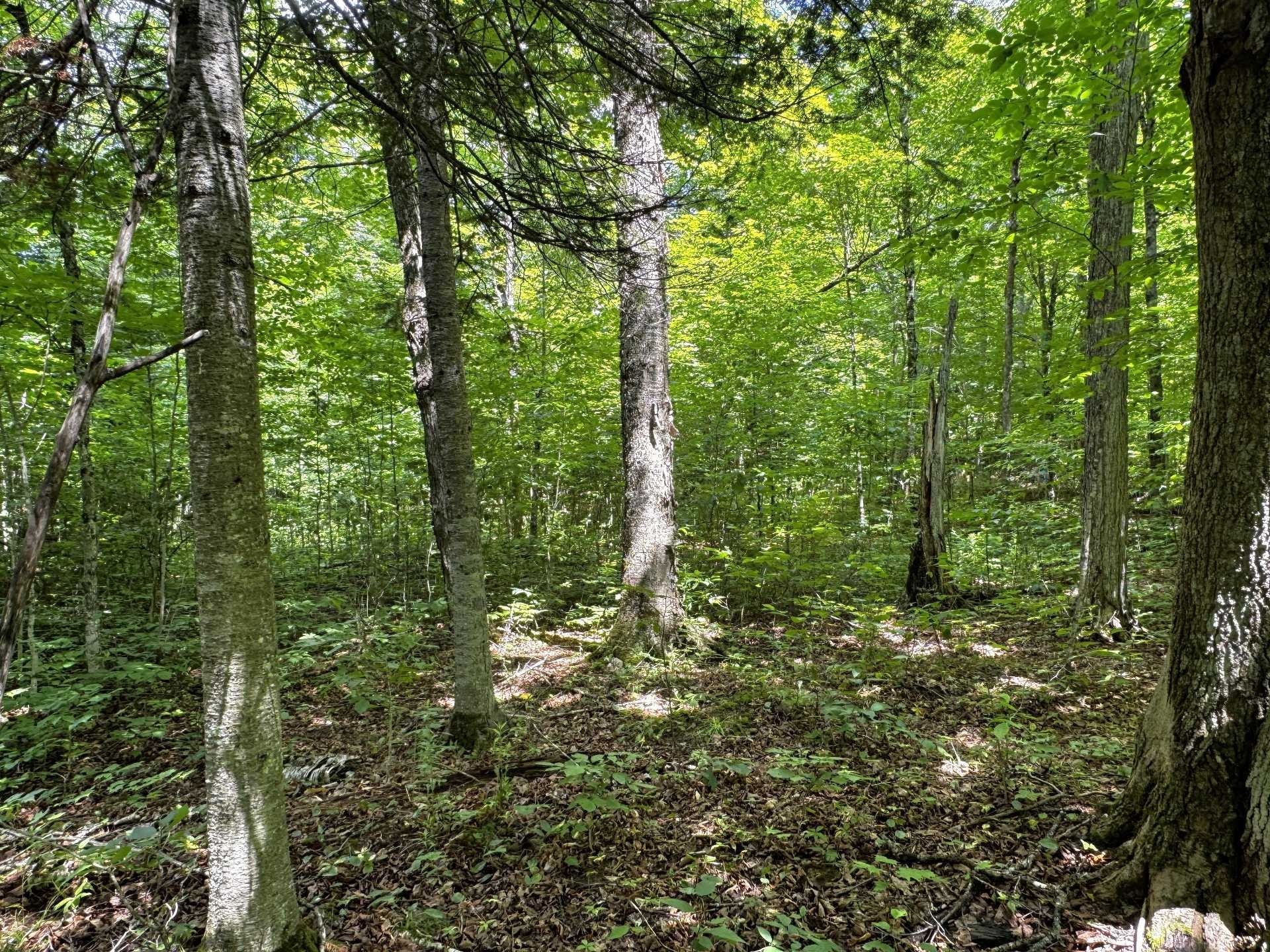 












Ch. Nason

,
Harrington,







QC
J8G2T3

