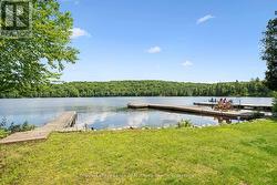Level lakefront area