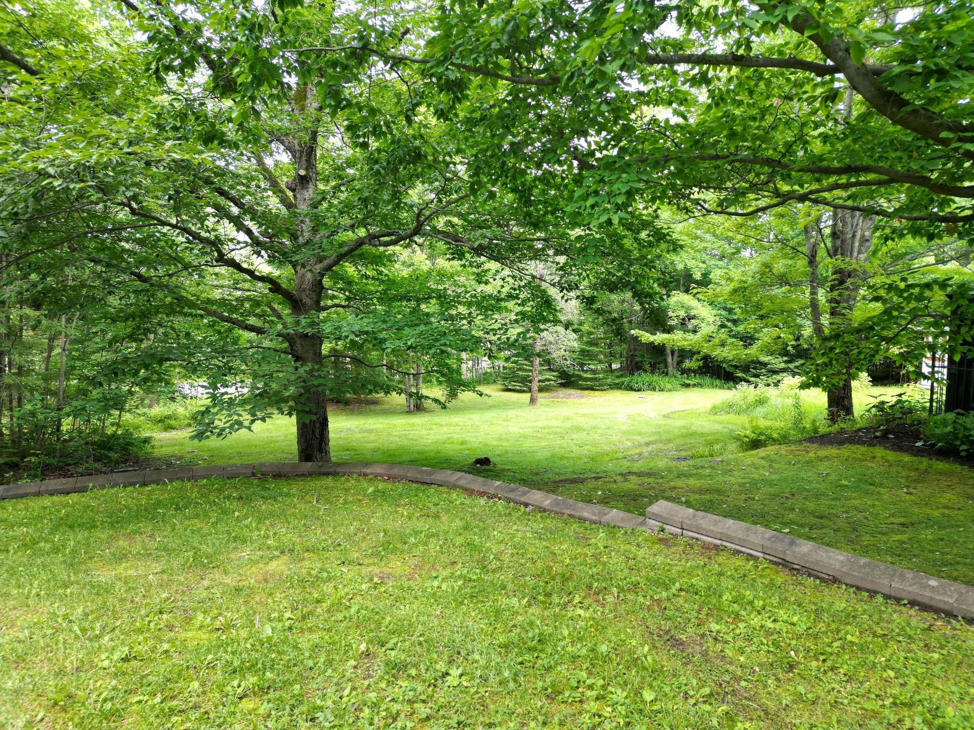 









230


Rue René

,
Magog,




QC
J1X7P7

