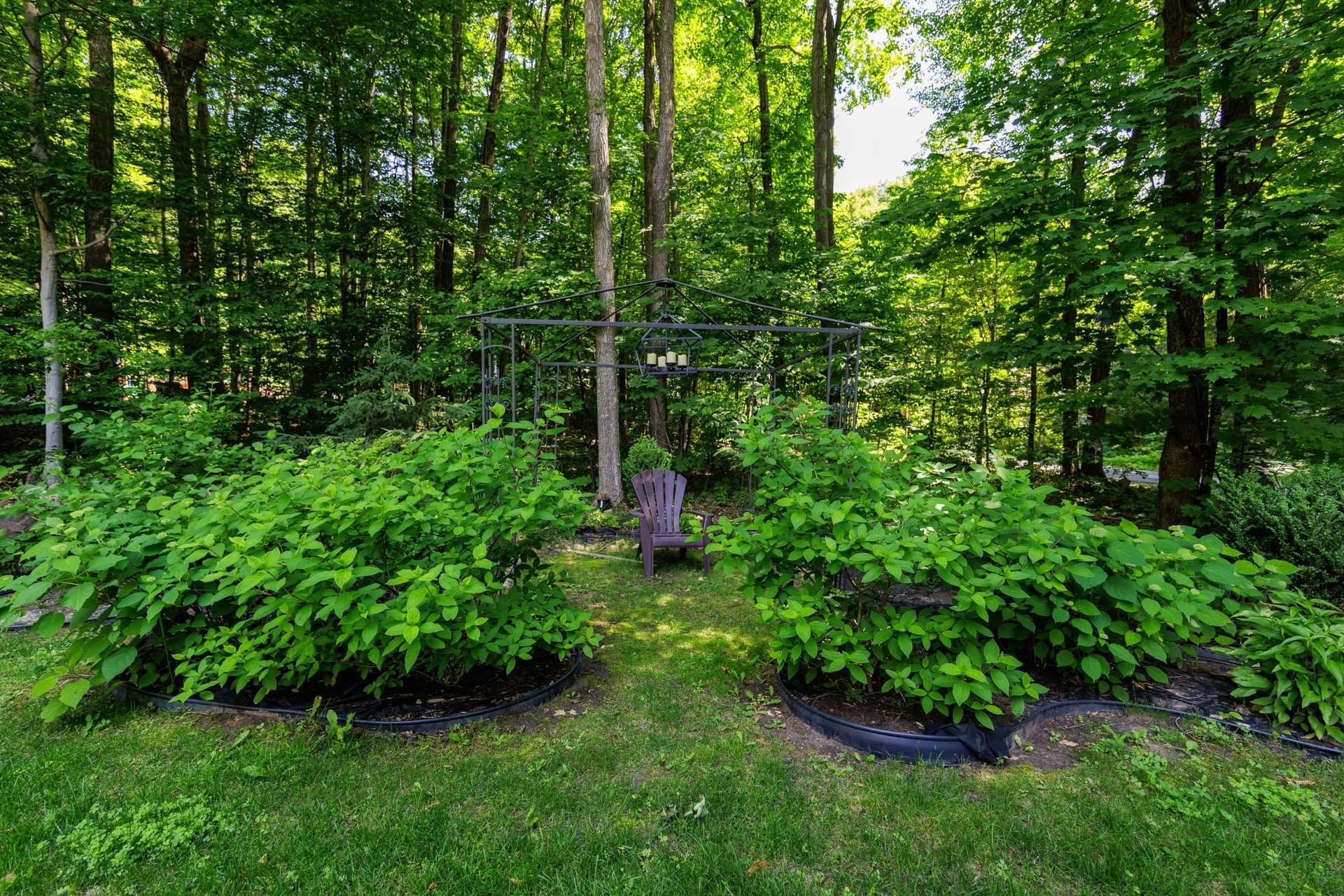 









114


Rue Kimpton

,
Rigaud,




QC
J0P1P0

