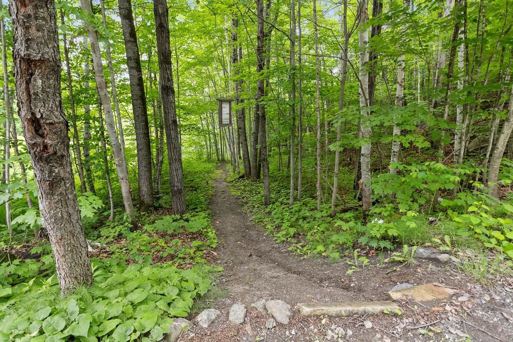 









76


465e Avenue

,
Saint-Hippolyte,




QC
J8A3E5

