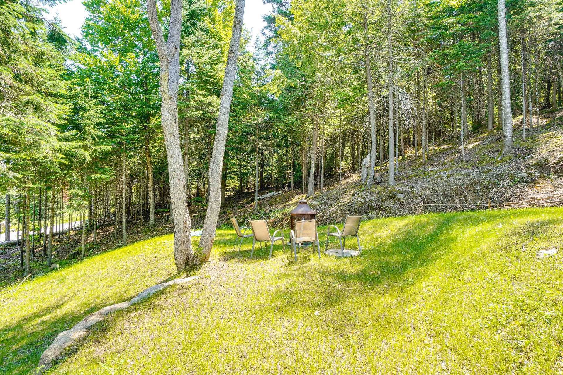 









219


Rue Gérard-Denis

,
Sainte-Marguerite-du-Lac-Masson,




QC
J0T1L0

