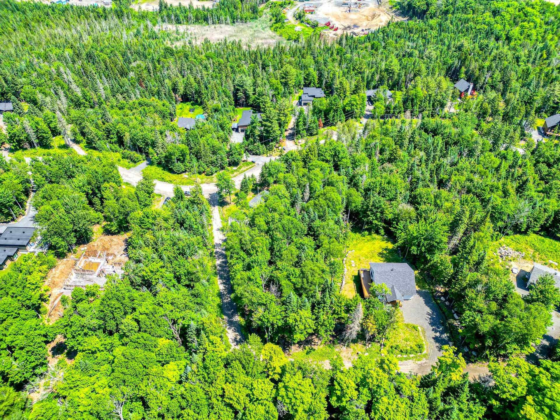 









219


Rue Gérard-Denis

,
Sainte-Marguerite-du-Lac-Masson,




QC
J0T1L0

