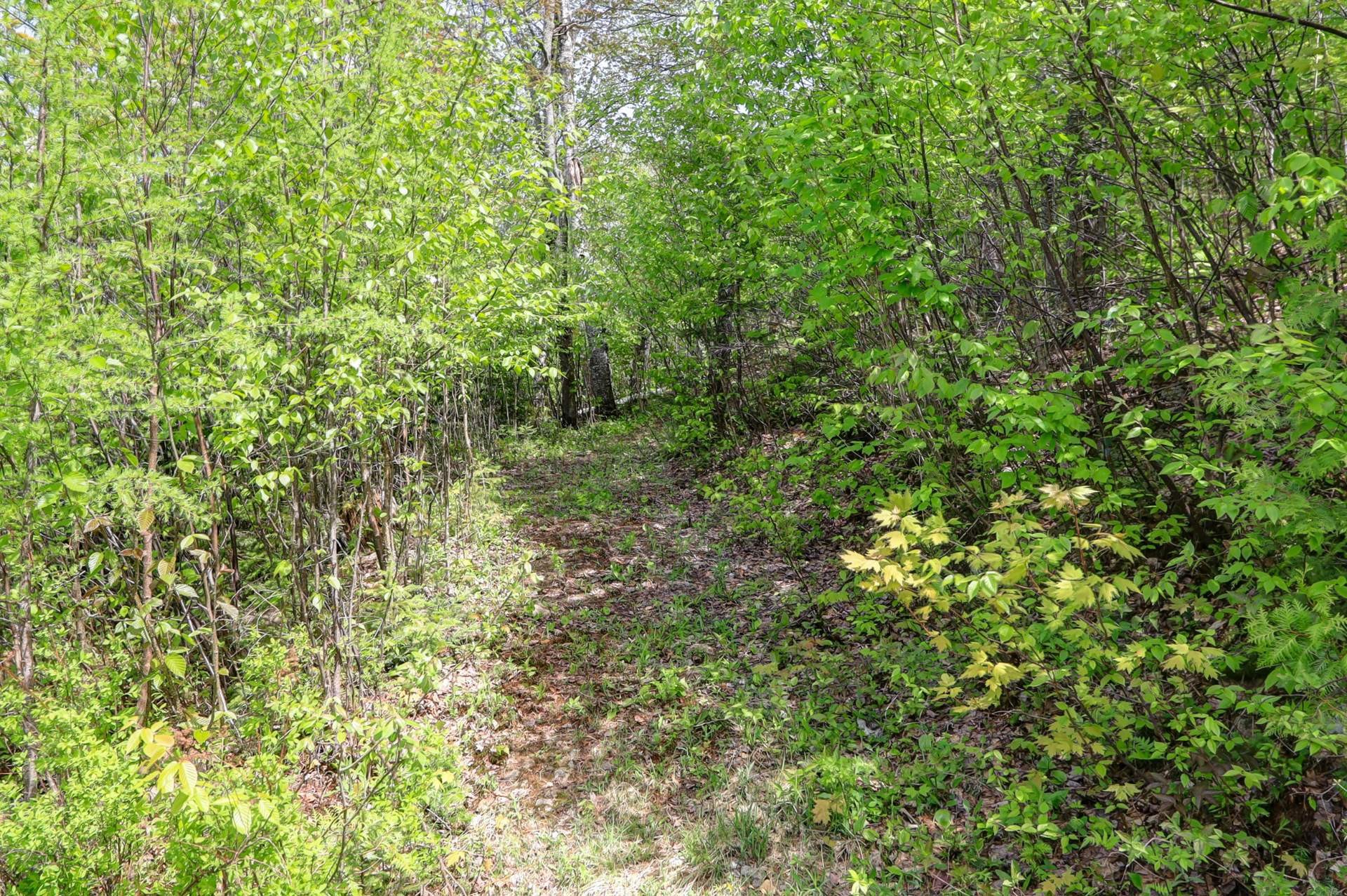 









2120


Ch. du Golf

,
Sainte-Lucie-des-Laurentides,




QC
J0T2J0

