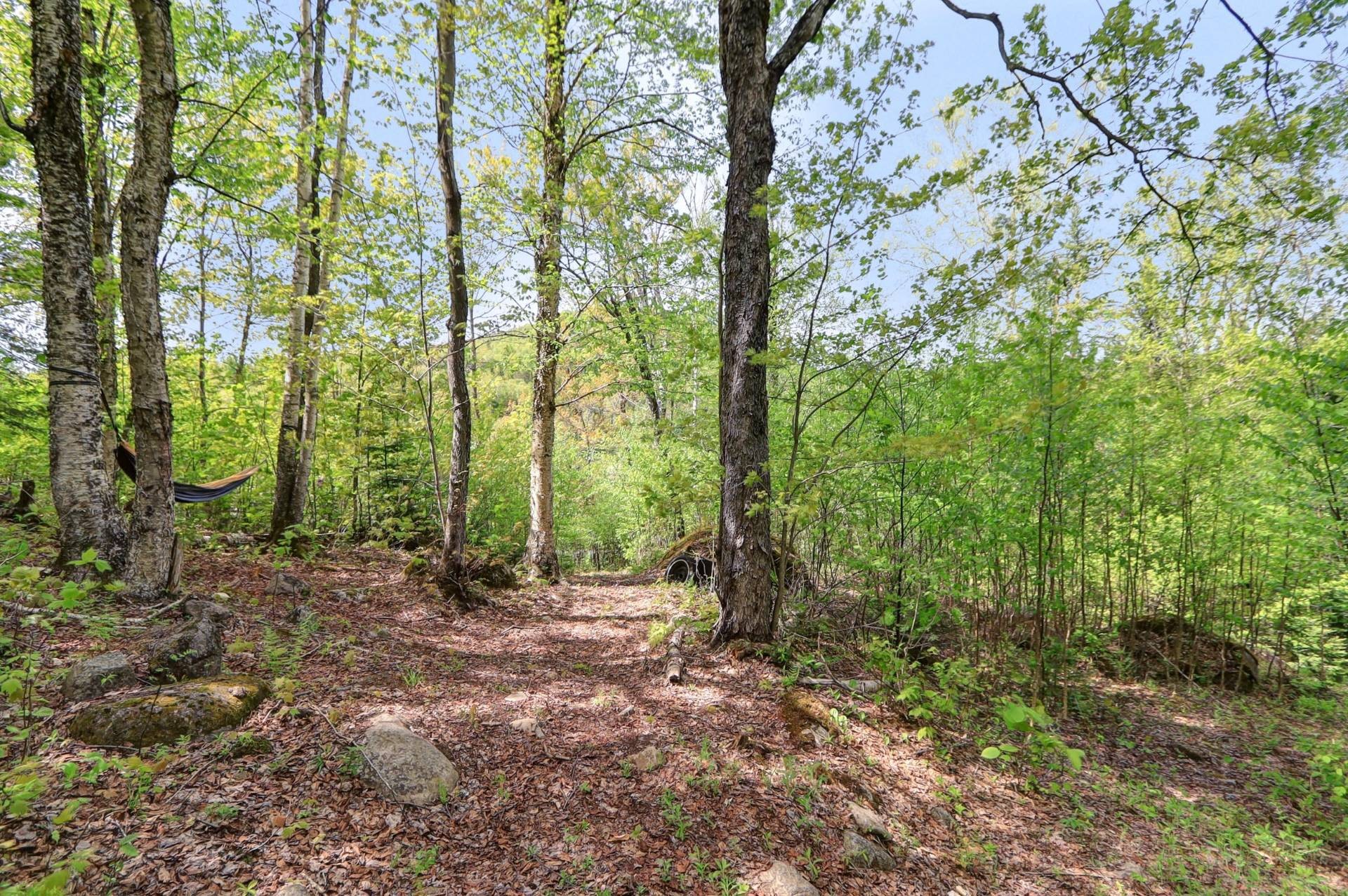 









2120


Ch. du Golf

,
Sainte-Lucie-des-Laurentides,




QC
J0T2J0

