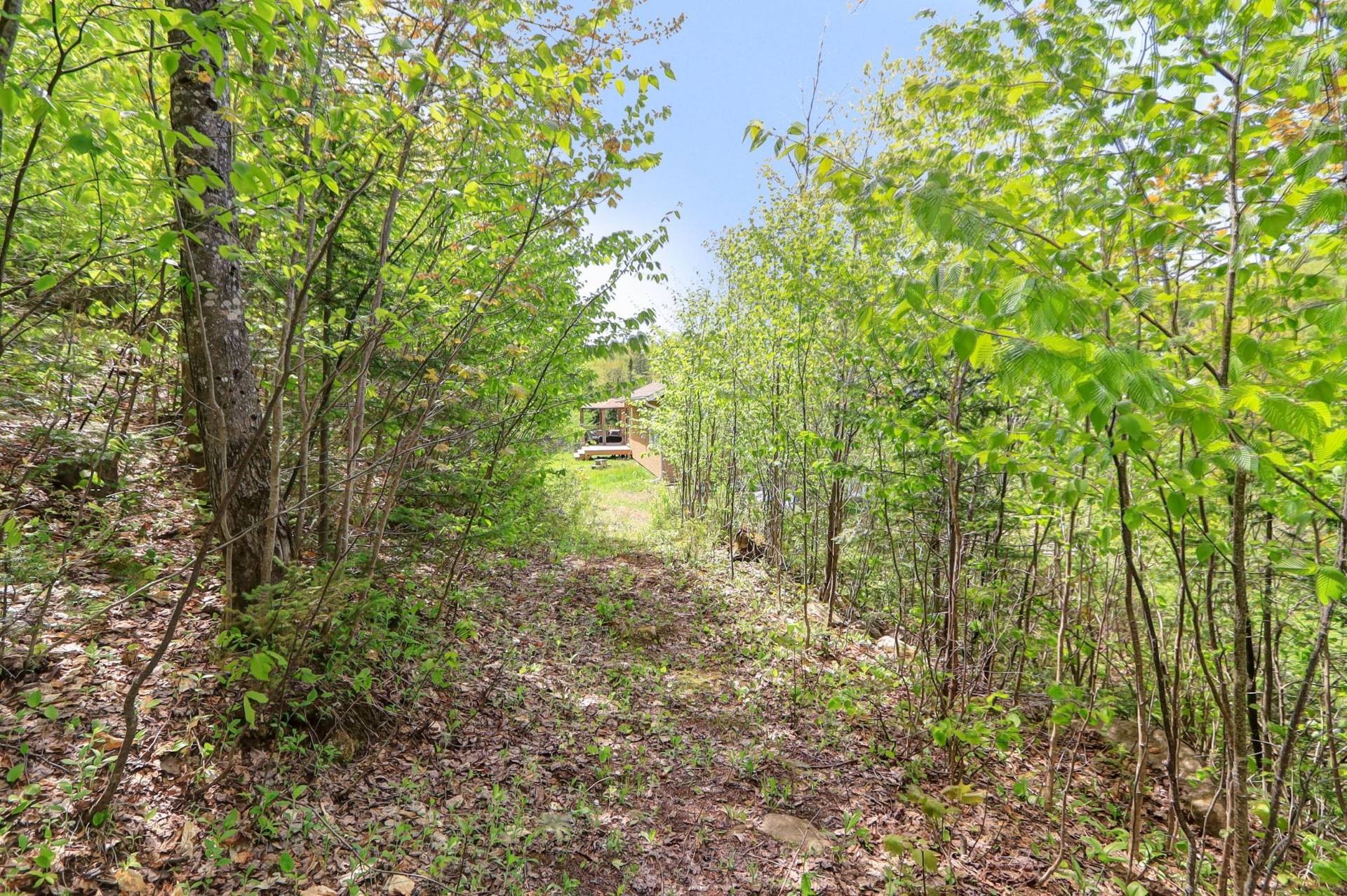 









2120


Ch. du Golf

,
Sainte-Lucie-des-Laurentides,




QC
J0T2J0

