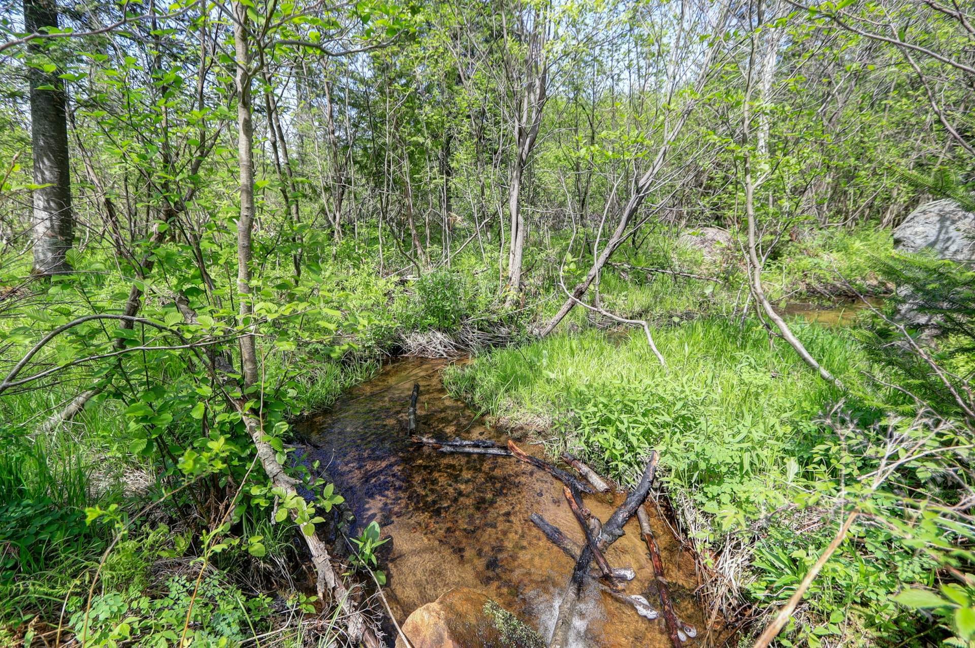 









2120


Ch. du Golf

,
Sainte-Lucie-des-Laurentides,




QC
J0T2J0

