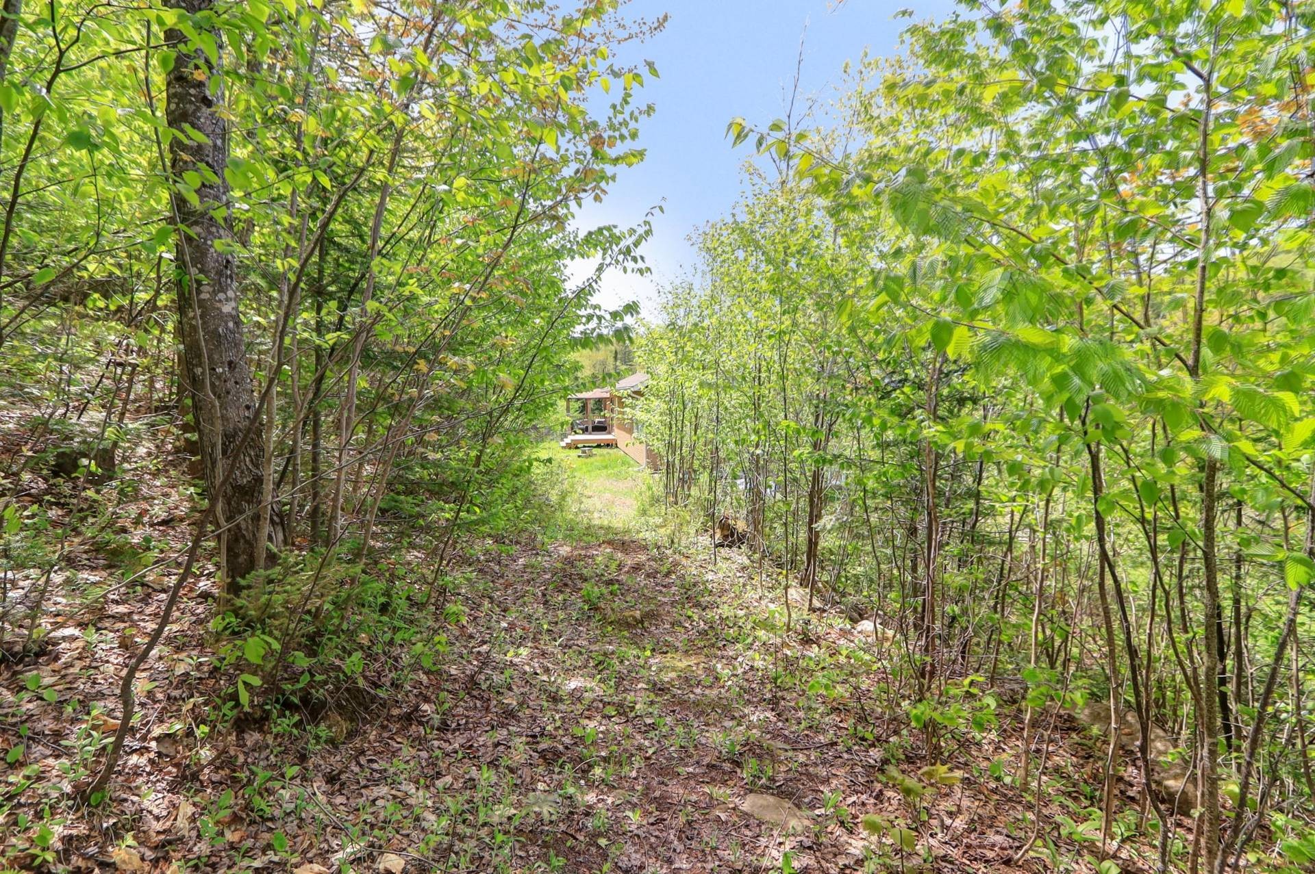 









2120Z


Ch. du Golf

,
Sainte-Lucie-des-Laurentides,







QC
J0T2J0

