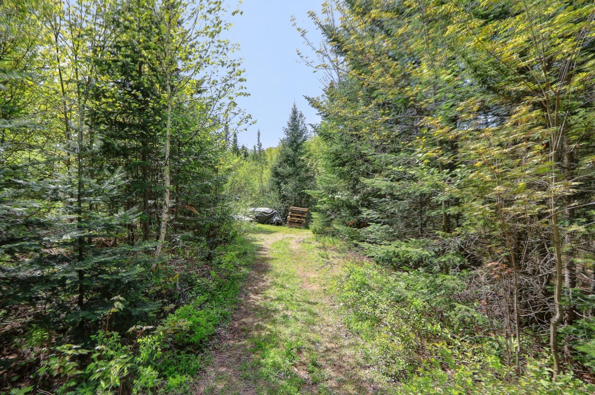 









2120Z


Ch. du Golf

,
Sainte-Lucie-des-Laurentides,







QC
J0T2J0


