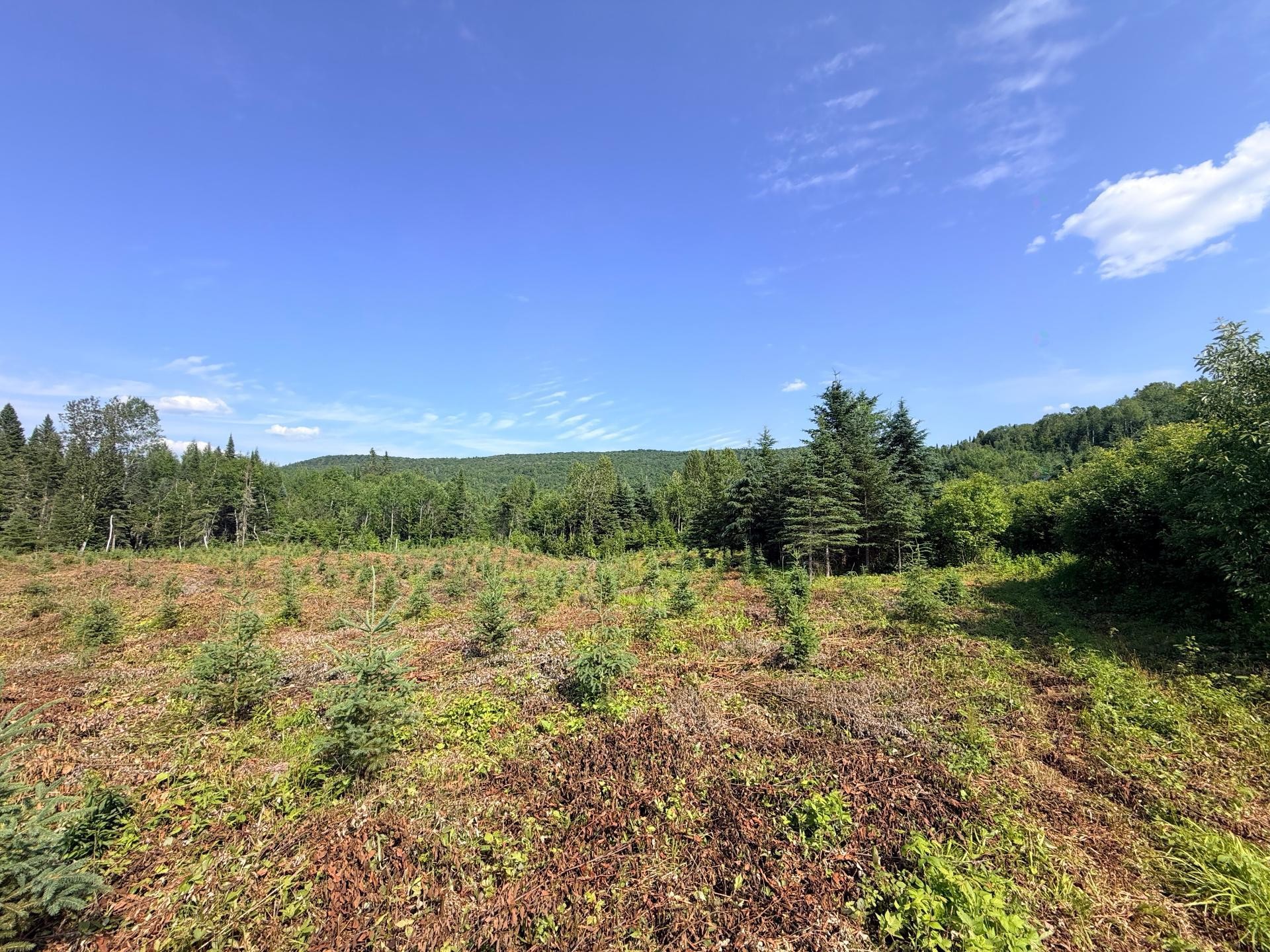 












Ch. St-Joseph

,
Trois-Rives,







QC
G0X2C0

