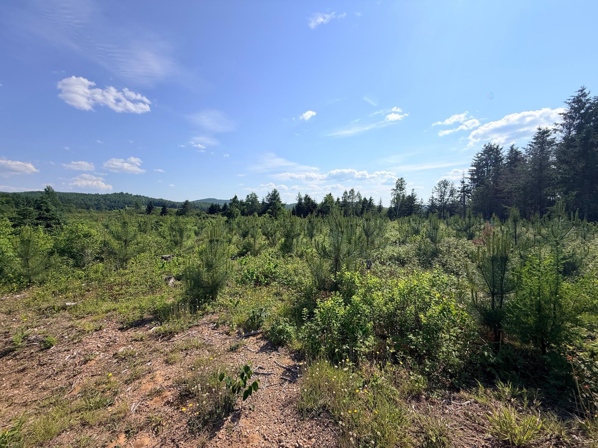 












Ch. St-Joseph

,
Trois-Rives,







QC
G0X2C0

