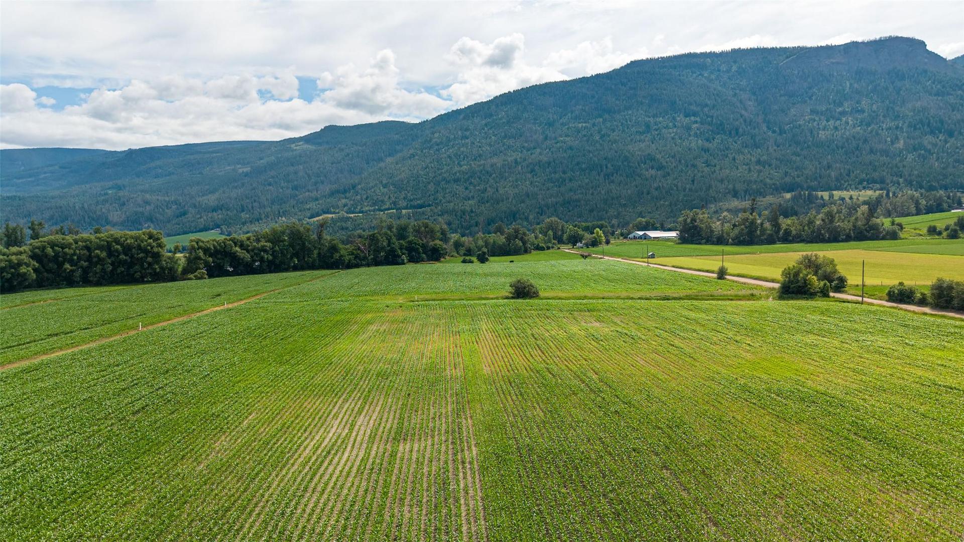 









51


Monks

Road,
Grindrod,







BC
V0E 1Y0

