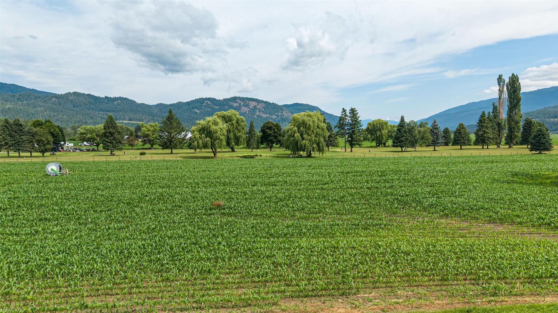 









51


Monks

Road,
Grindrod,







BC
V0E 1Y0

