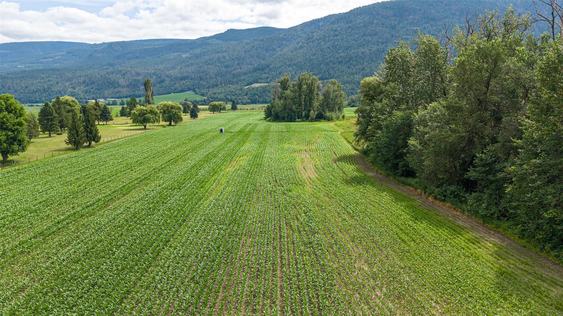 









51


Monks

Road,
Grindrod,







BC
V0E 1Y0

