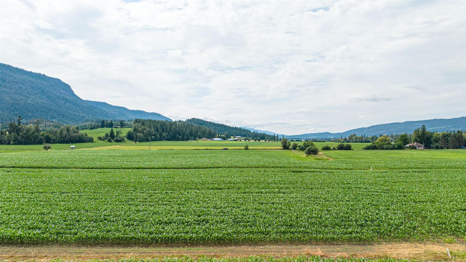









51


Monks

Road,
Grindrod,







BC
V0E 1Y0

