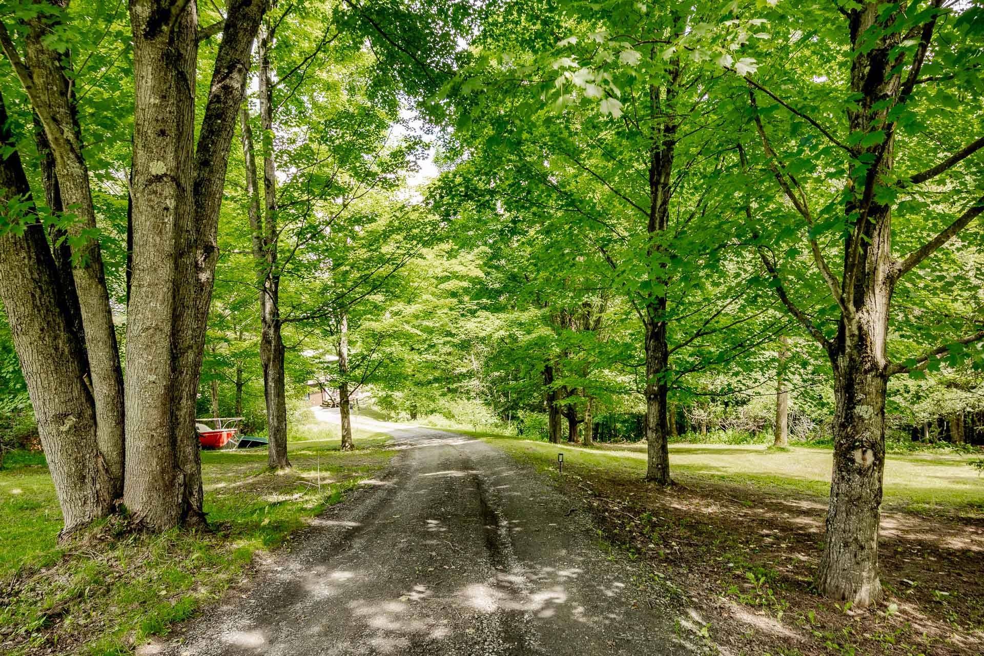 









1460


Ch. Riverview

,
Sherbrooke (Lennoxville),




QC
J1M0B2

