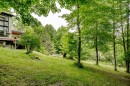 Terre/Terrain