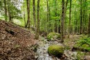 Terre/Terrain