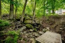 Terre/Terrain