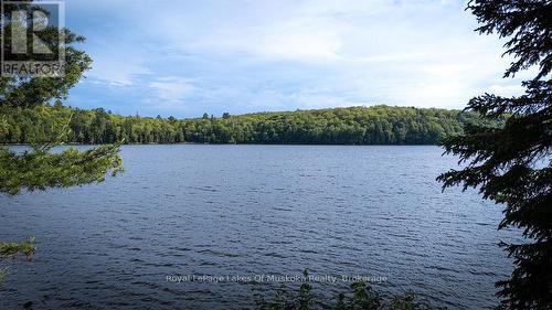 Newell Lake