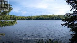 Newell Lake