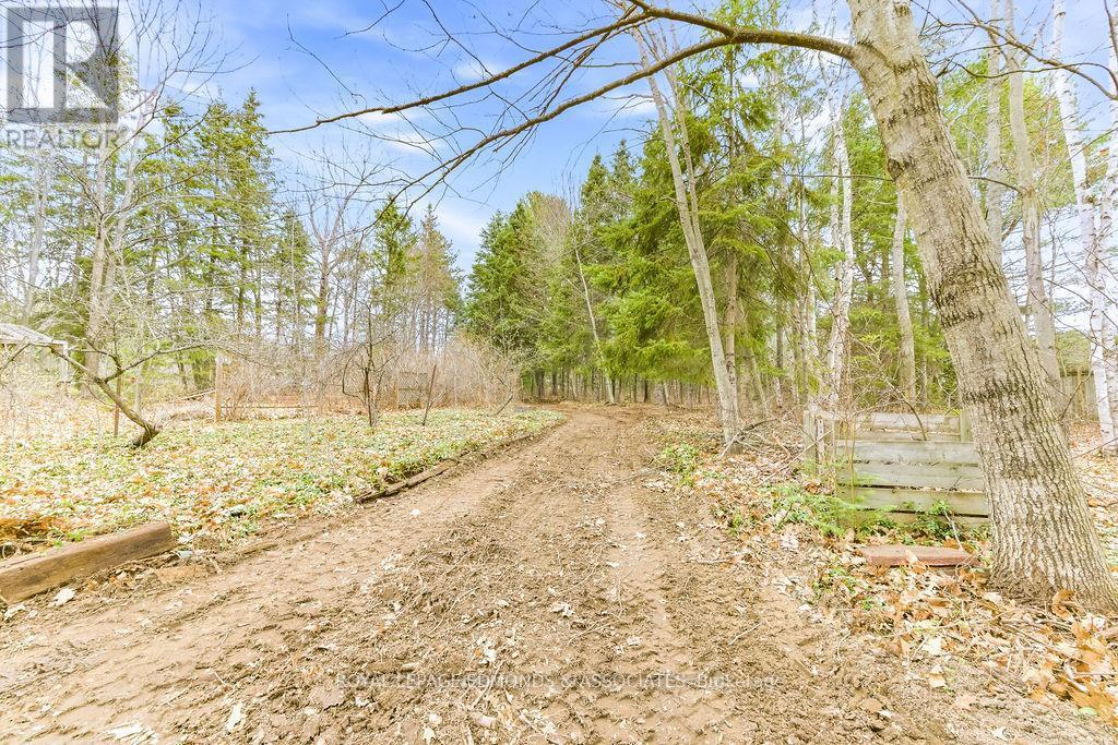 












1411 VICTORIA STREET

,
Petawawa,




Ontario
K8H3K4

