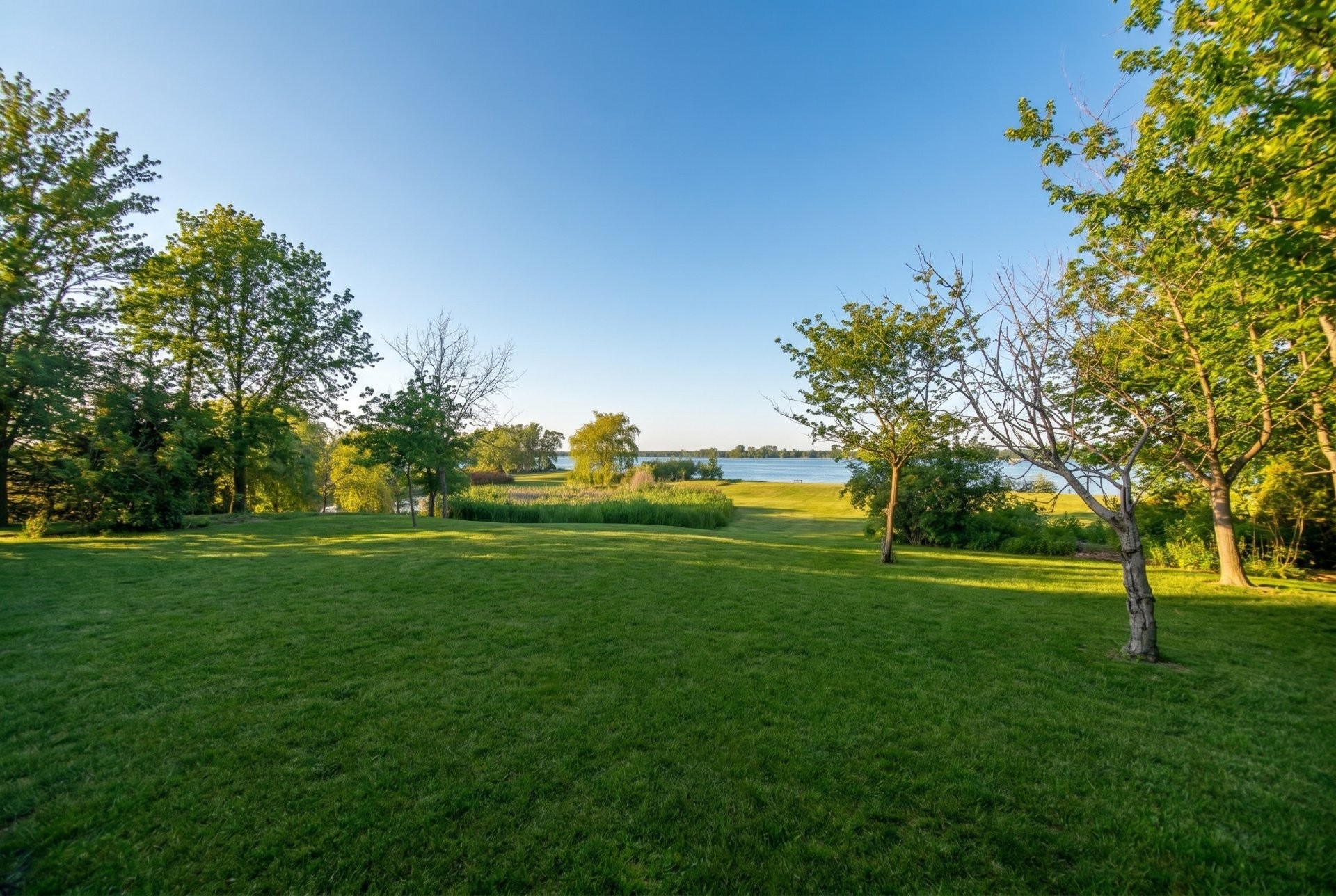 









1059


Route Marie-Victorin

,
Verchères,




QC
J0L2R0

