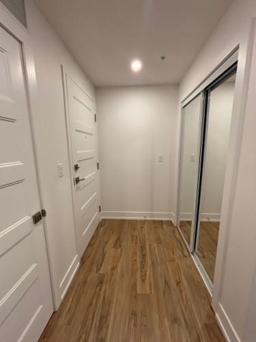 Hall d'entrée/Vestibule