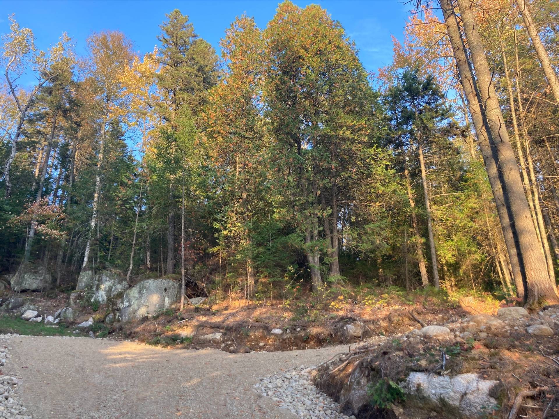 












Route 349

,
Saint-Didace,







QC
J0K2G0

