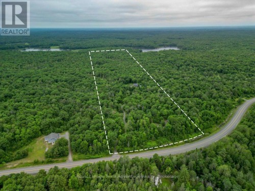 44.25 Acres