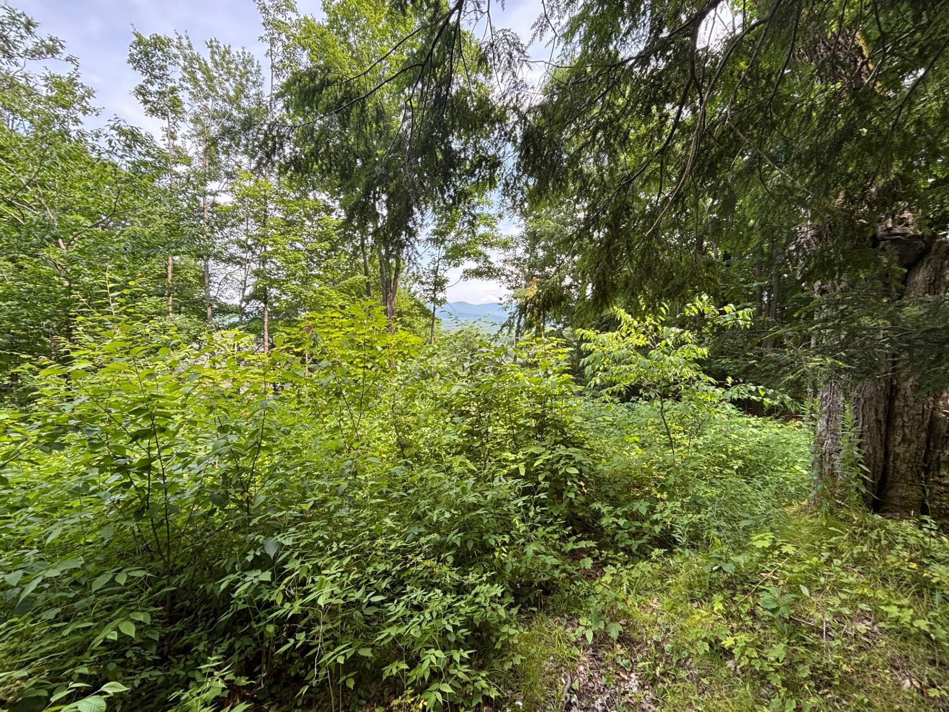 












Ch. Thompson

,
Sutton,







QC
J0E2K0

