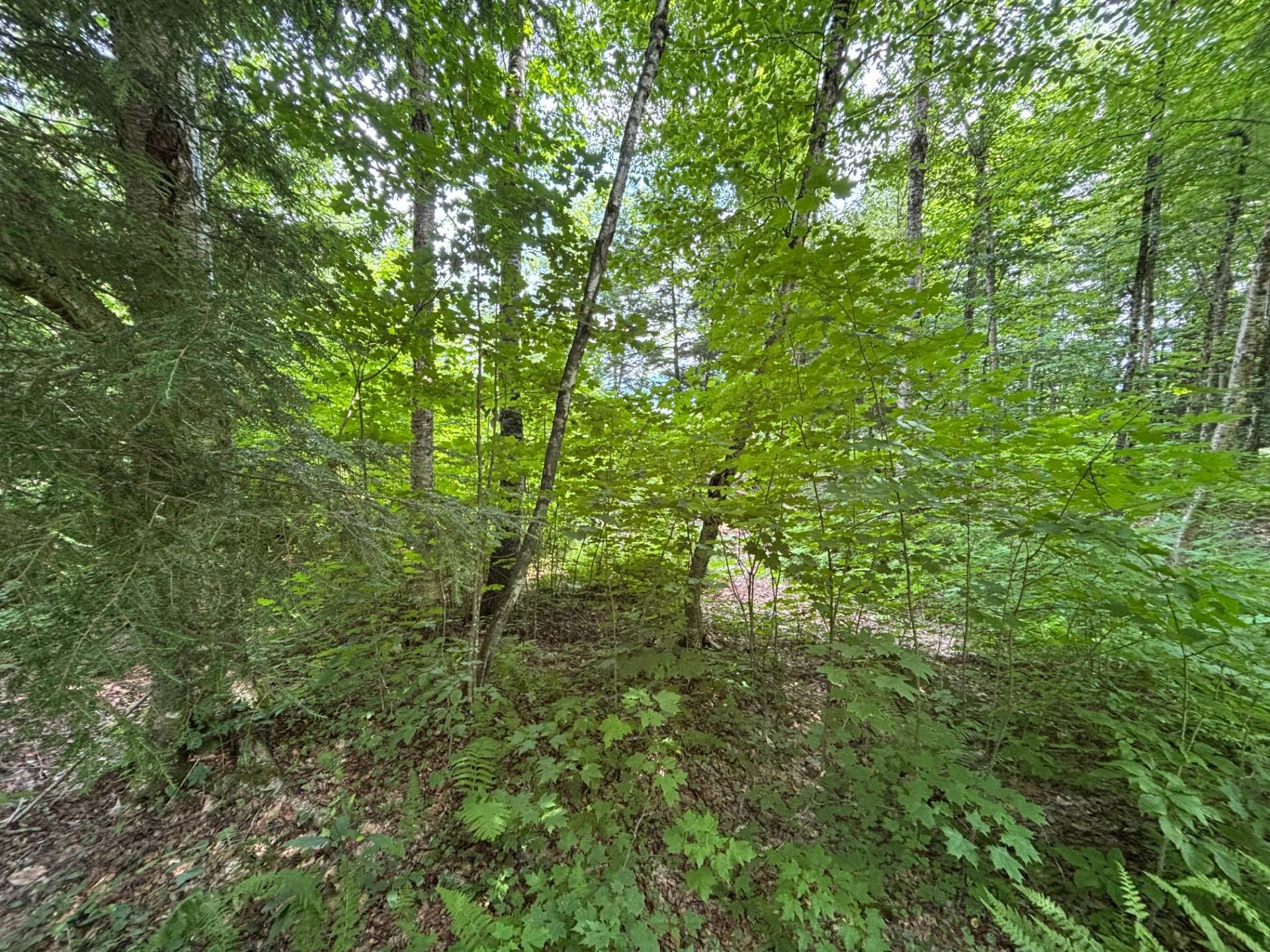 












Ch. Thompson

,
Sutton,







QC
J0E2K0

