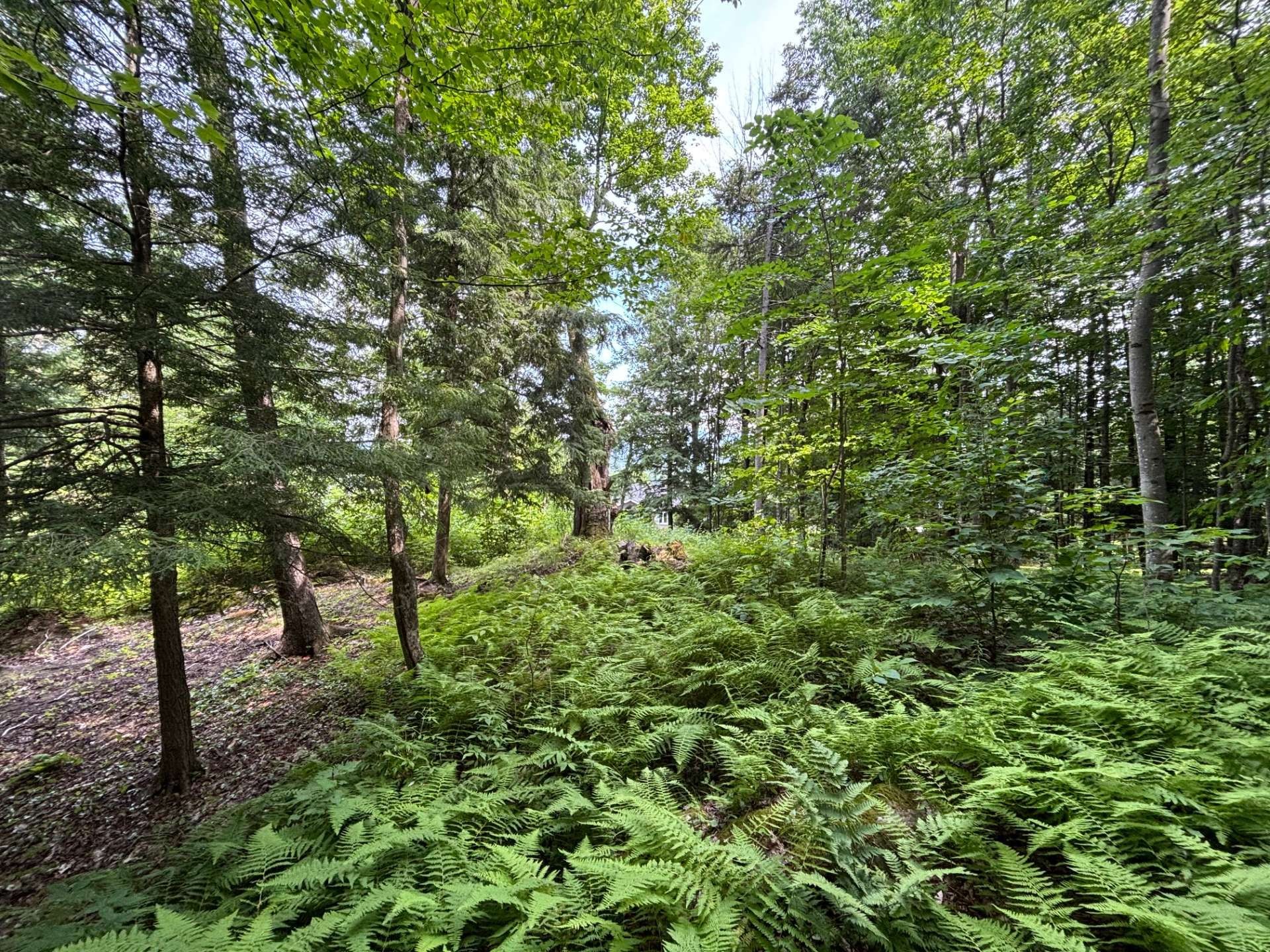 












Ch. Thompson

,
Sutton,







QC
J0E2K0

