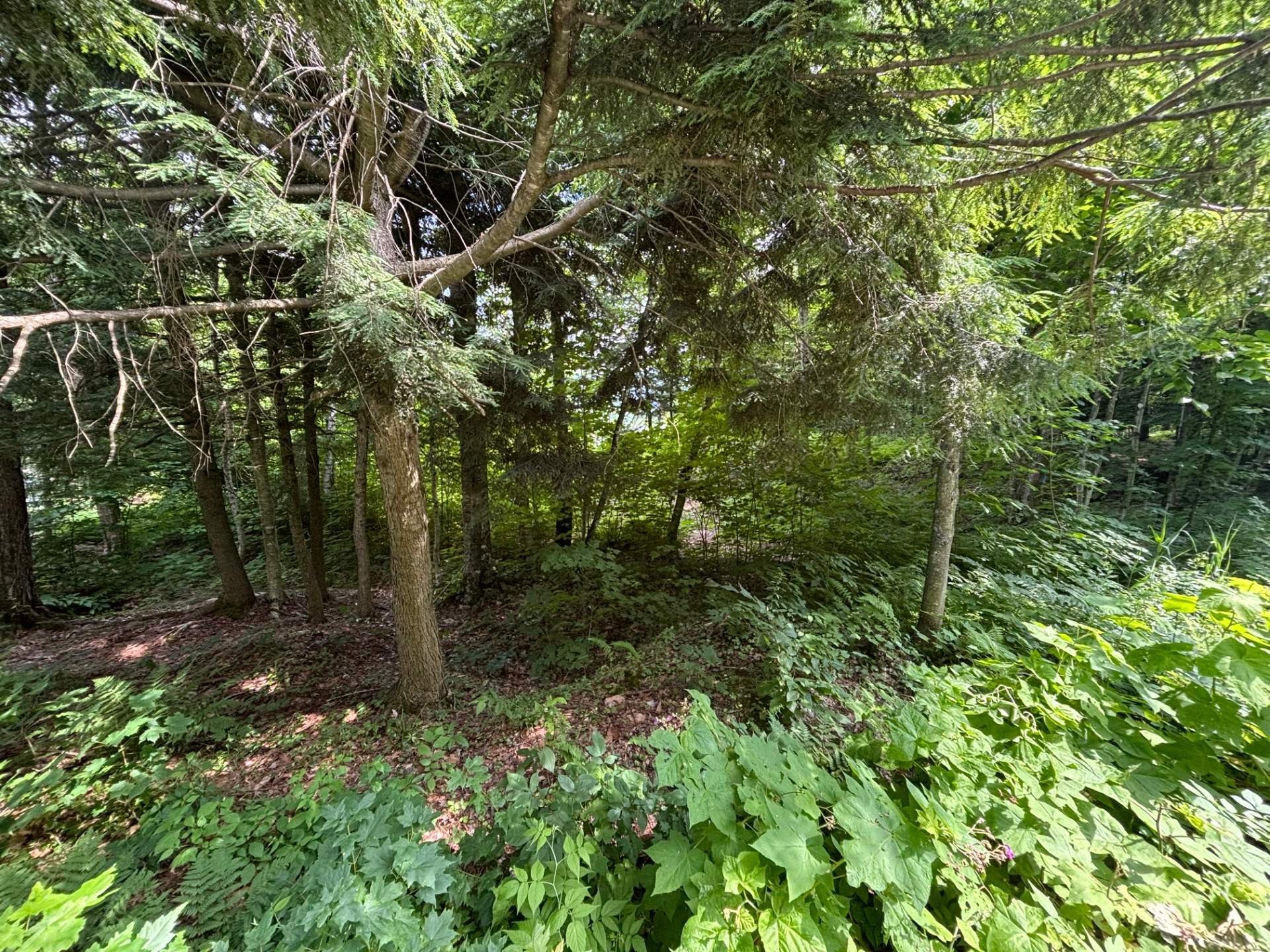 












Ch. Thompson

,
Sutton,







QC
J0E2K0

