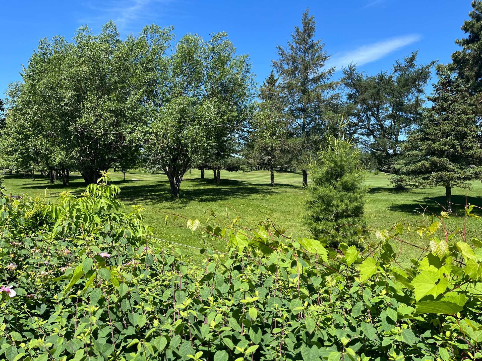









50


Rue Gabrielle-Roy

,
Notre-Dame-de-l'Île-Perrot,




QC
J7W1L1

