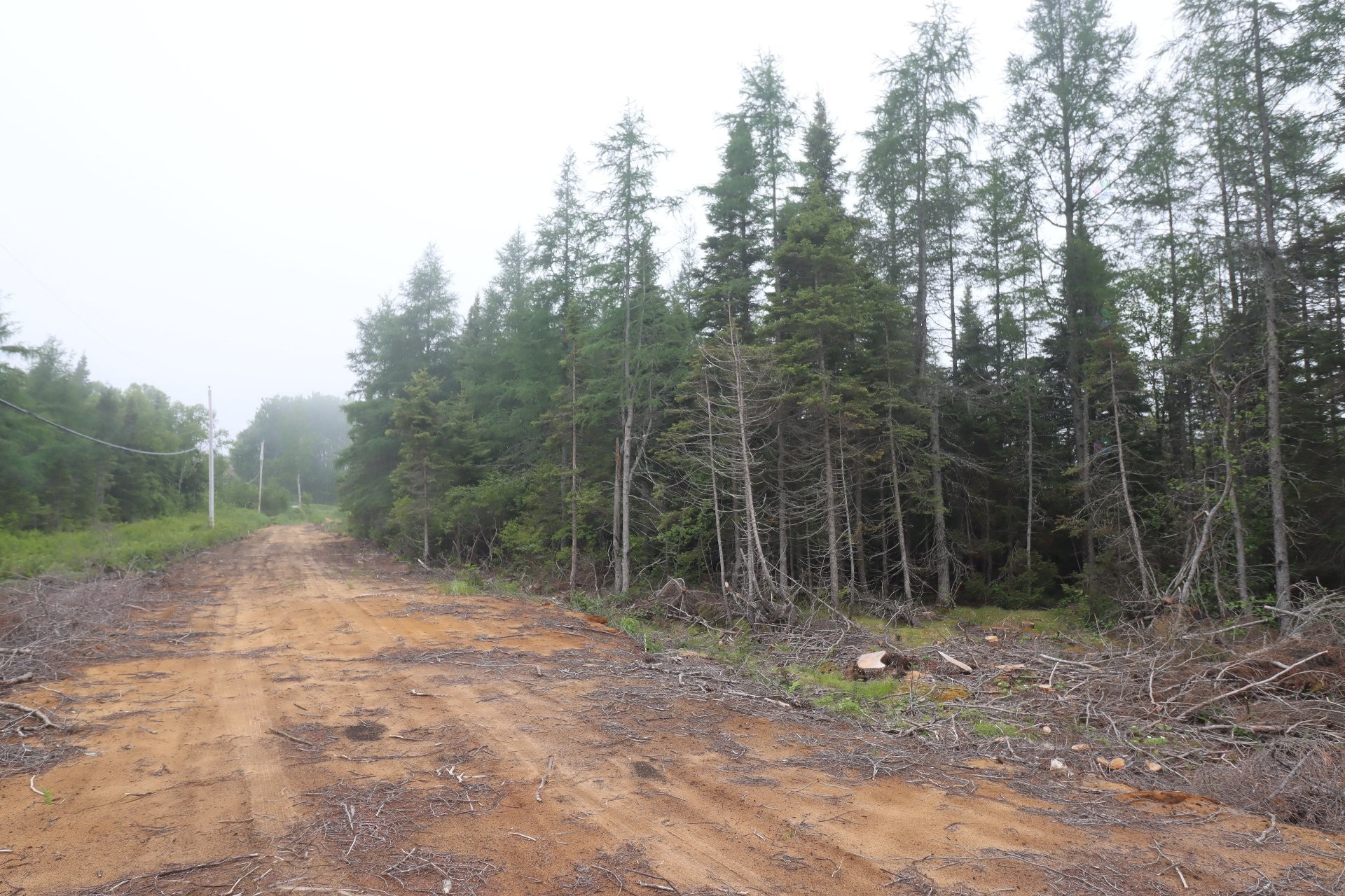 









1


Rue Moreau

,
Port-Cartier,







QC
G0H1R0

