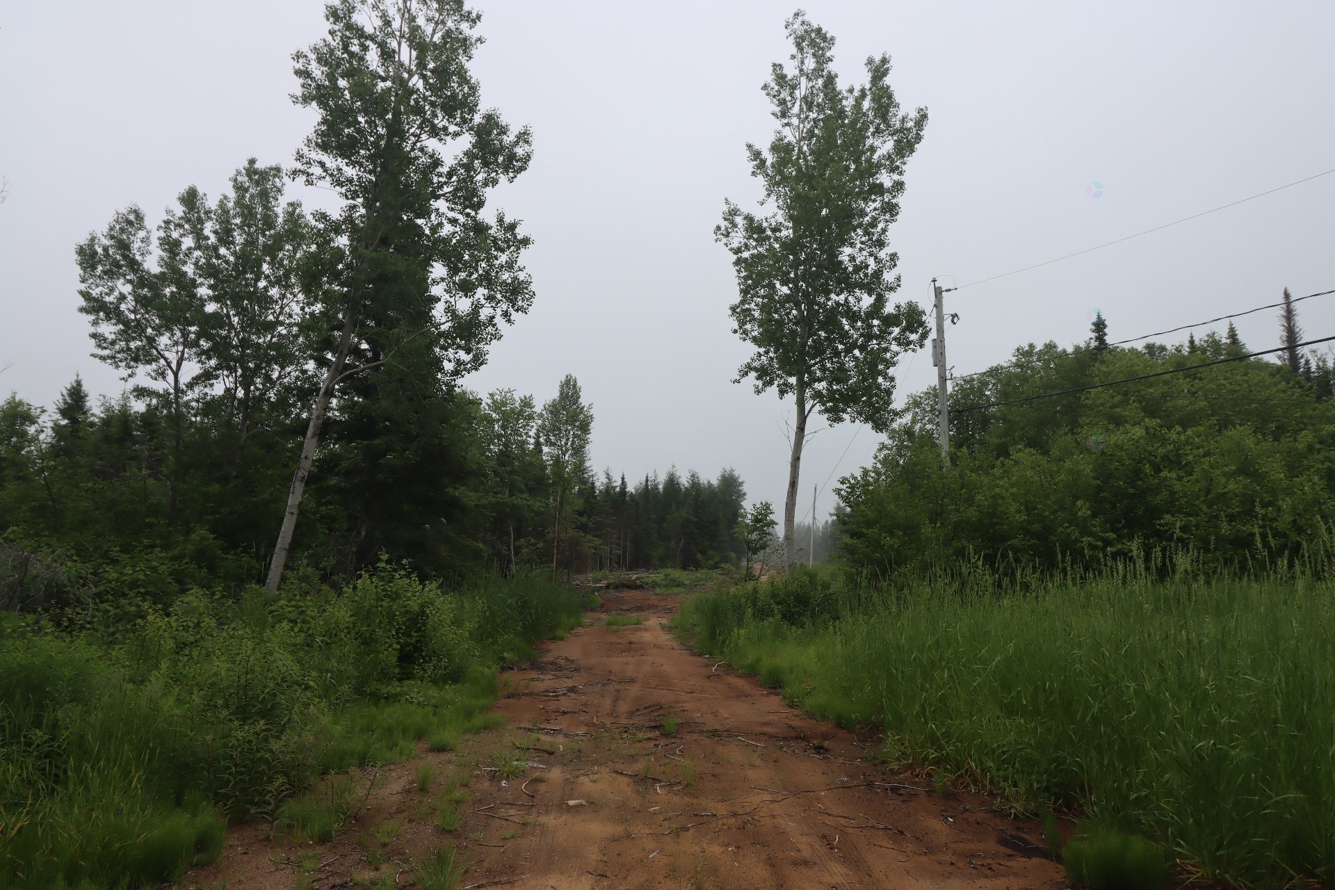 









1


Rue Moreau

,
Port-Cartier,







QC
G0H1R0

