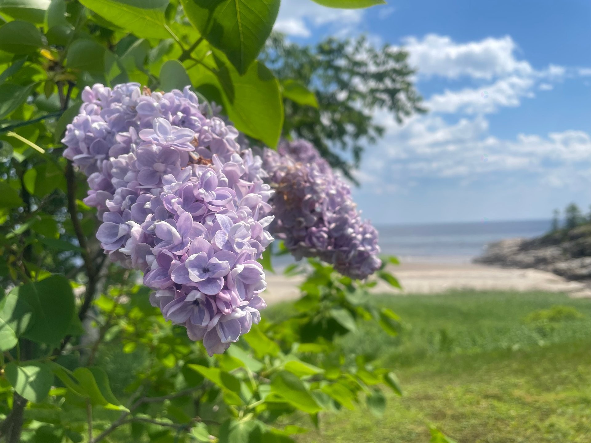 









1


Rue Moreau

,
Port-Cartier,







QC
G0H1R0

