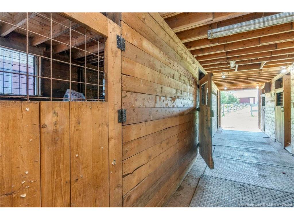 









252


Ammon

RD,
Ammon,




NB
E1G 3N8

