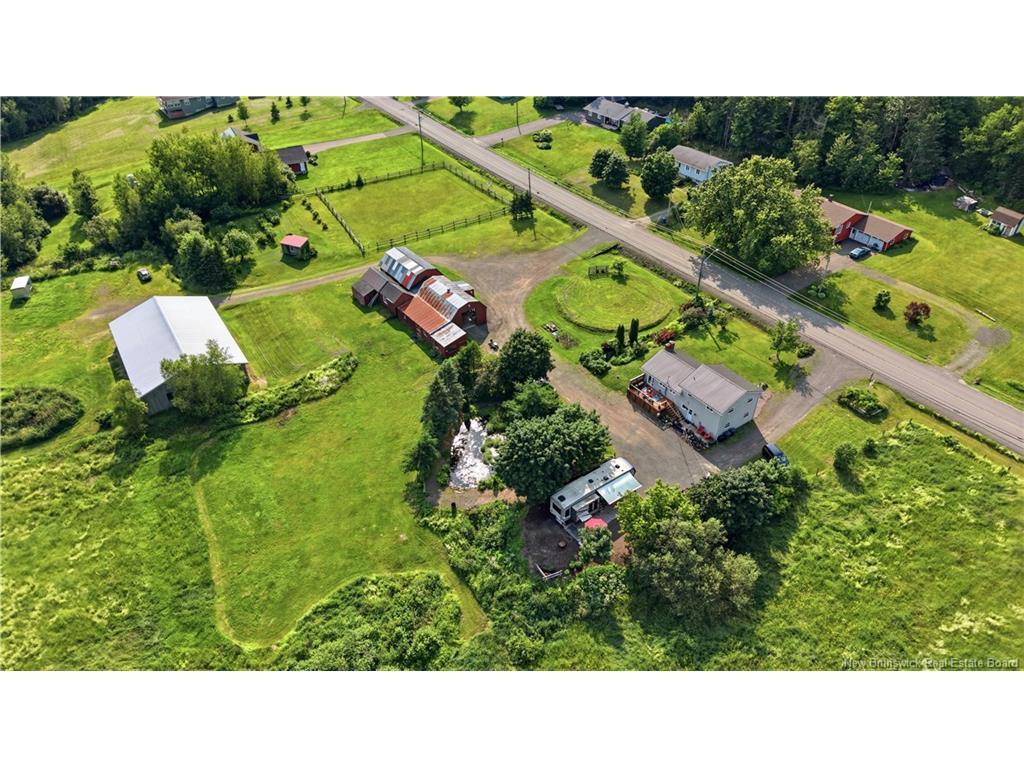 









252


Ammon

RD,
Ammon,




NB
E1G 3N8

